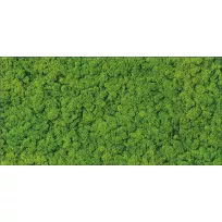 Decor tegel - Tilorex Baixa Green Glossy - 30x60 cm - Gerectificeerd - Keramisch - 8 mm dik - VTX60585