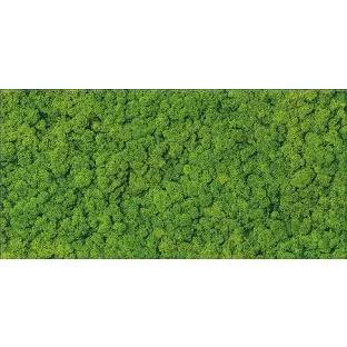 Decor tile - Tilorex Baixa Green Glossy - 30x60 cm - Rectified - Ceramic - 8 mm thick - VTX60585