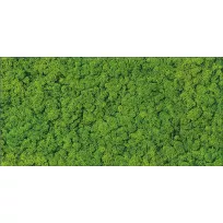 Decor tile - Tilorex Baixa Green Glossy - 30x60 cm - Rectified - Ceramic - 8 mm thick - VTX60585