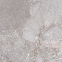 Floor tile and Wall tile - Goldand Age Grey - 60x60 cm - rectified edges - 10 mm thick
