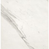 Floor tile and Wall tile - Roma Statuario mat - 80x80 cm - rectified edges - 10 mm thick