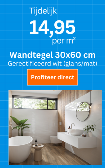 Wandtegel 30x60 cm