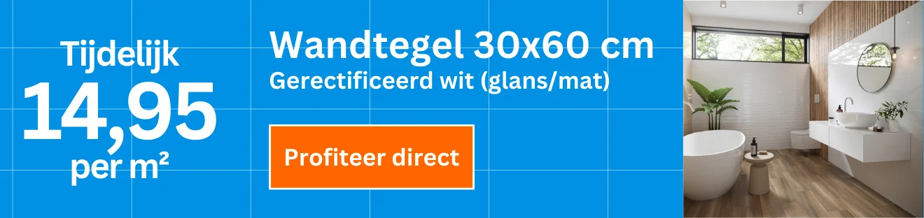 Wandtegel 30x60 cm